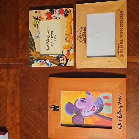 Disney Accents 3 Disney Picture Frames Animal Kingdom And Walt